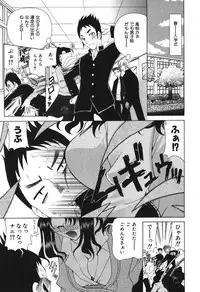 [Katamikoi Mizue] Echizumu | H-ism