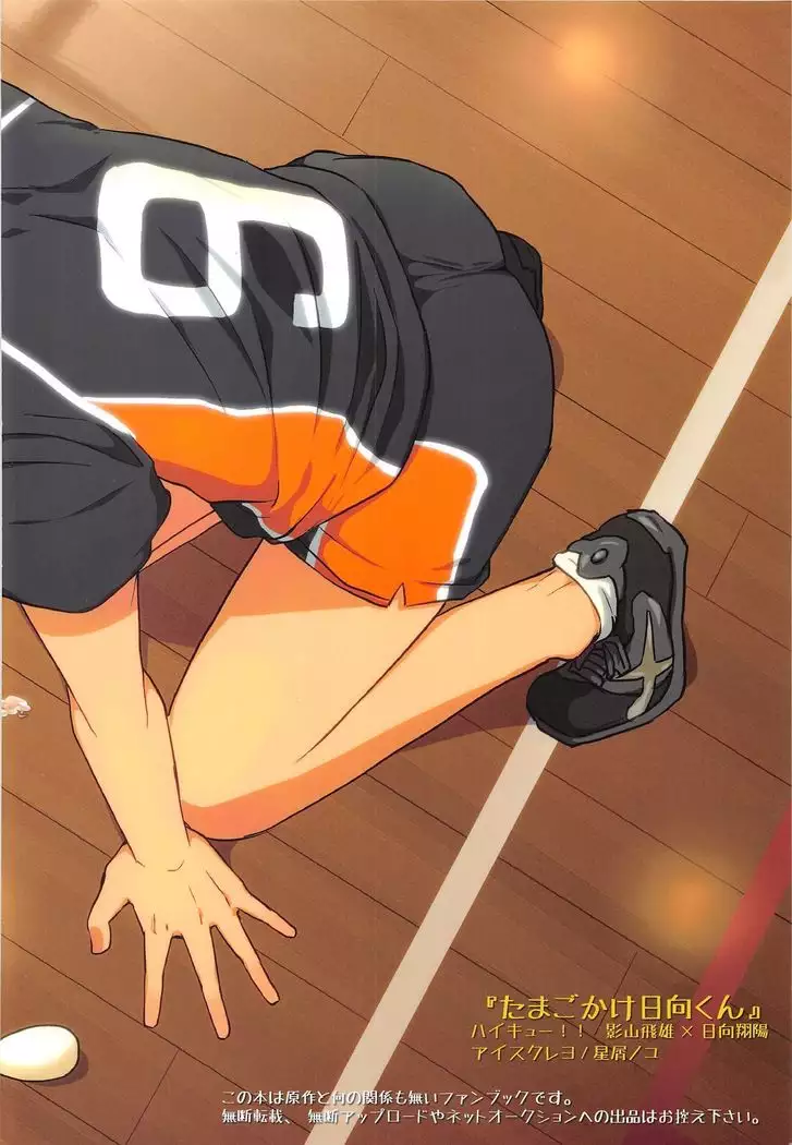 Tamahina Tamagokake Hinatakun