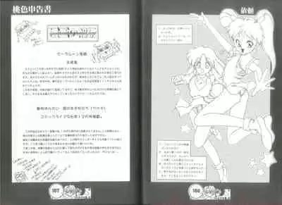 桃色申告書 ver.MILLENNIUM FALCON