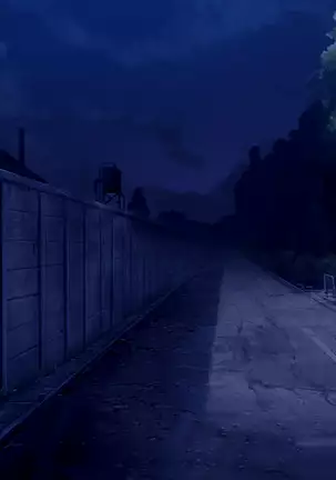 Shion ~Zankoku na Mahou no Tenshi~