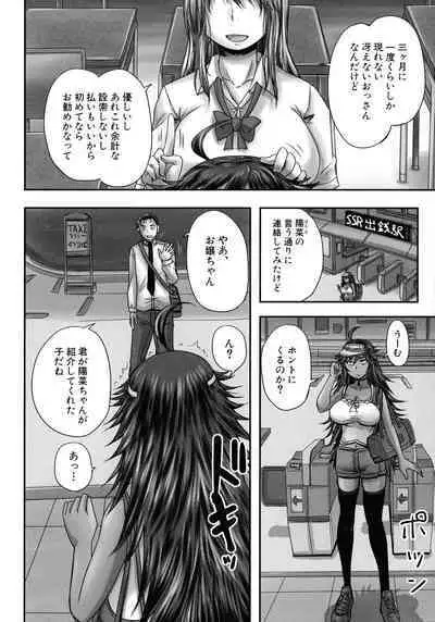 [Akigami Satoru] Minna Mesu ni naru