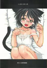 (SC34) [Dennou Denpa Hatsureisho (Harukaze Koucha)] Itsumono. Zouryou (Various)