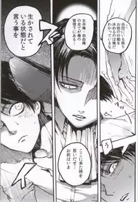 (C86) [Onjire (Tamy)] ONGRE2013 (Shingeki no Kyojin)