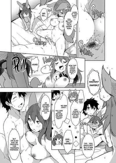 Hatsujou Cat Fight | A Heated Cat Fight