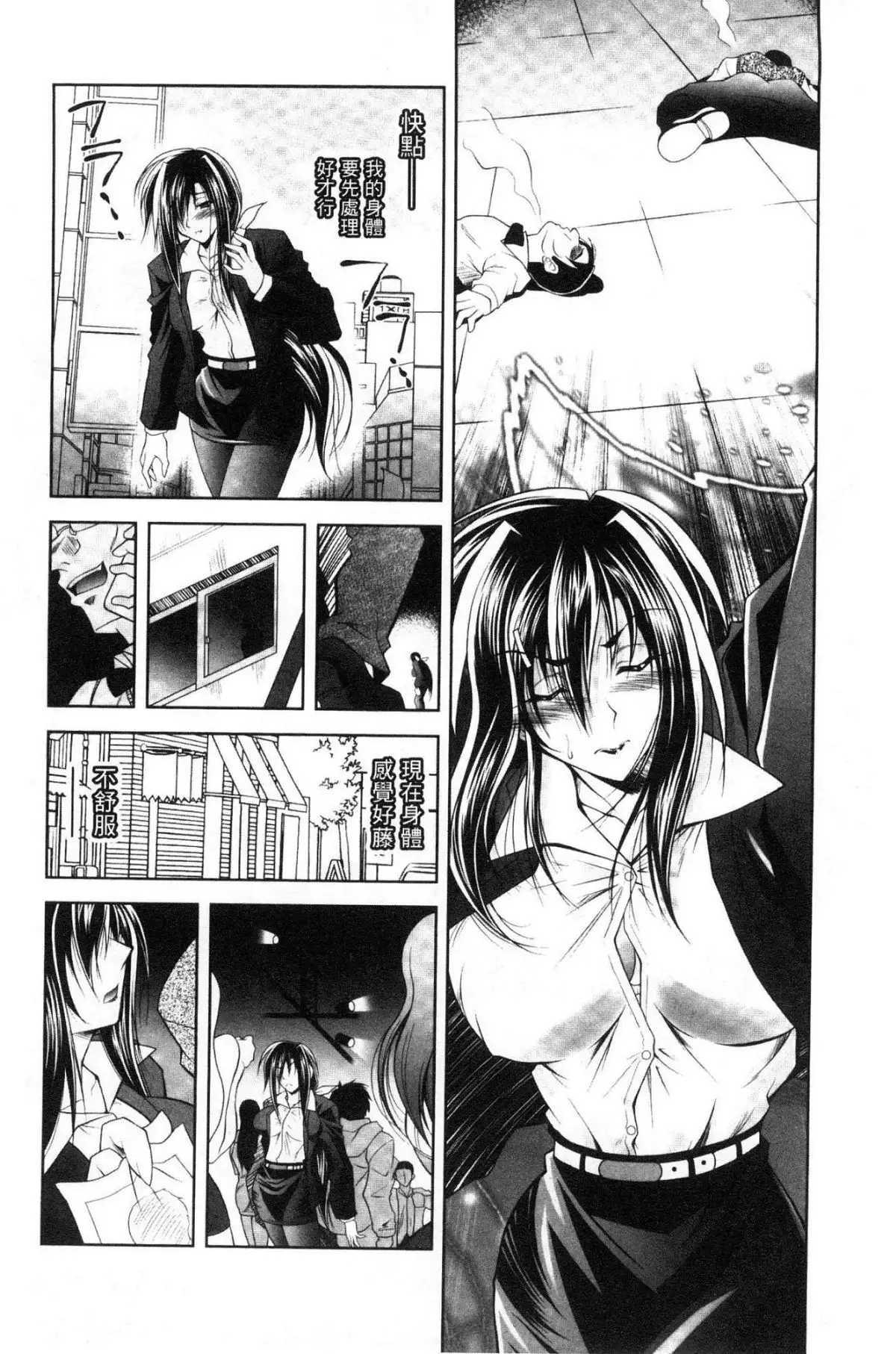 Fallen Justice -Seigi Shittsui-