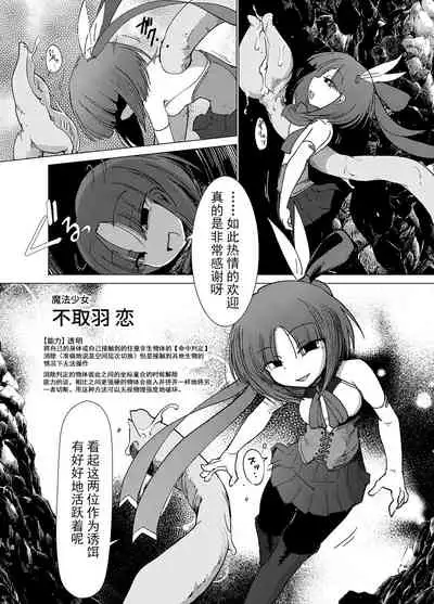 [FoxTail (sakifox)] Transparent [Chinese] [波奇个人汉化] [Digital]