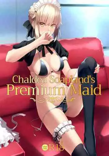 [LOFLAT (Prime)] Chaldea Soap SSS-kyuu Gohoushi Maid (Fate/Grand Order) [Chinese] [Decensored] [Digital]