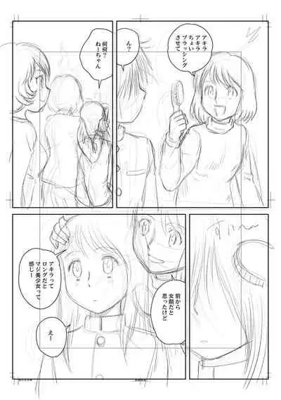 Fudeoroshi Harem Dairankou