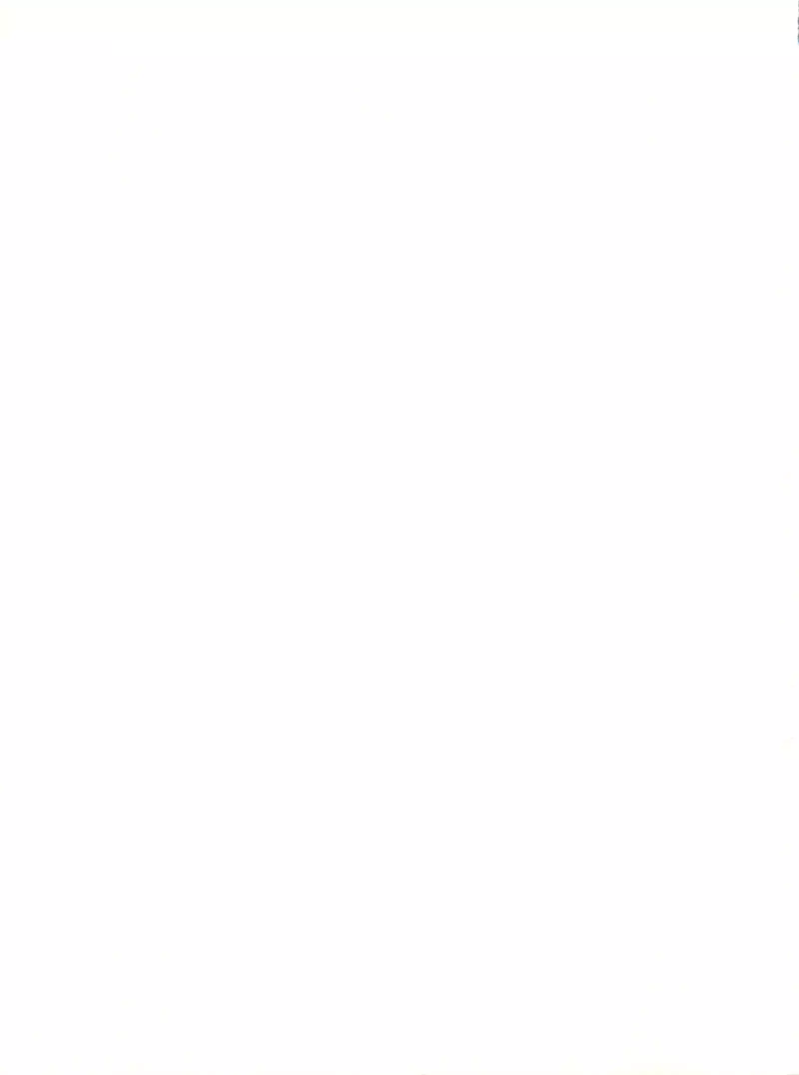 Shinseiki Evangelion Te Yuuka Omedetou Muumin