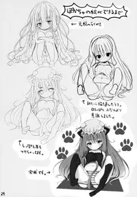 (CCTokyo128) [Pokachutei (Pokachu)] LOVELY DOLL (Touhou Project)