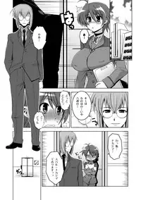 [HGH (HG Chagawa)] Senshi no XXX (Mahou Shoujo Lyrical Nanoha) [Digital]