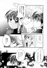 [Usami Wataru] Prism