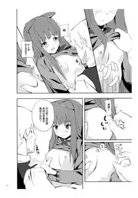 (Mimiket 18) [Senpenbankashiki (DATE)] Bitter Apple (Spice and Wolf) [Chinese] [靴下汉化组]