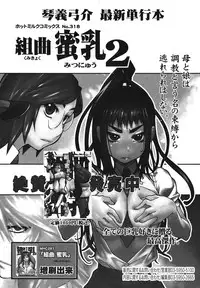 COMIC Megamilk 2011-02 Vol. 08