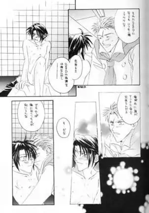 Chishiryou Dolis DIE TODLICHE DOLIS