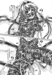 (C76) [Sumomo Dou (Sumomo EX)] Ririan. 4 - Shin Chouun Desu (Koihime Musou)