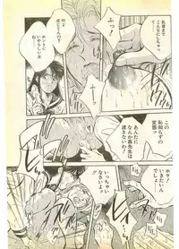 COMIC Papipo Gaiden 1995-11 Vol.17