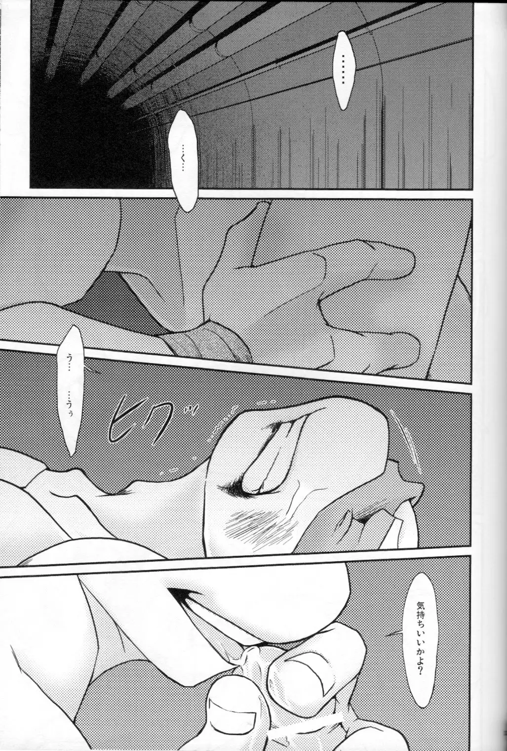 FALLEN - Raph vs Leo - Teenage Mutant Ninja Turtles, TMNT doujinshi