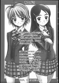 (C68) [DIOGENES CLUB (Haikawa Hemlen)] PRETTY GANG! (Futari wa Precure)