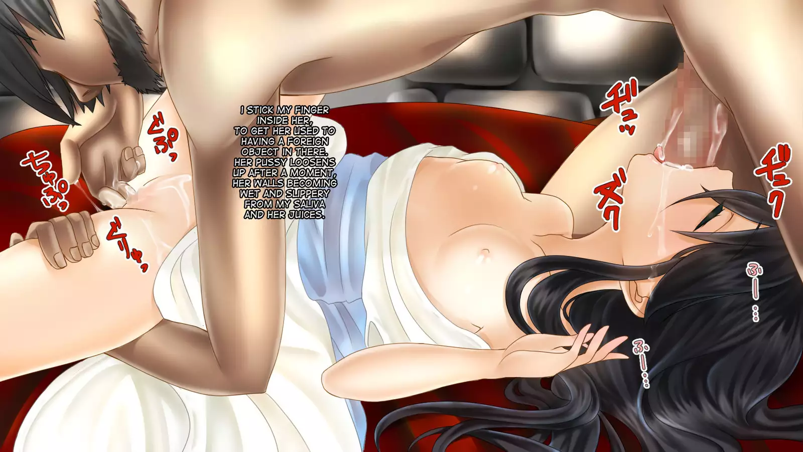 Aru Ryoushu no Nikkichou