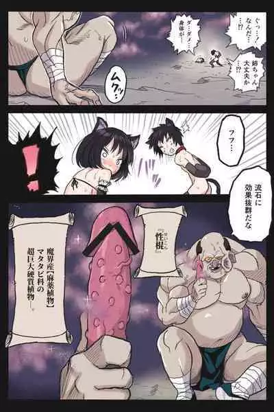 Mankoku Bujutsukai 4