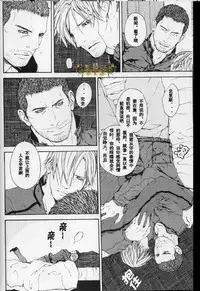 (C84) [clr, 12.5 (Akizou, Mizuki)] Answer | 答复 (Resident Evil) [Chinese]