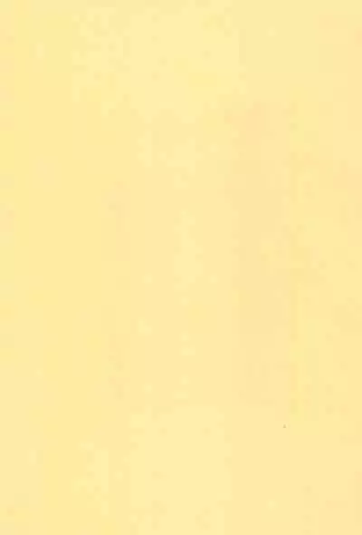 (CT29) [Ebisuyu (Funan)] Dagashiya Nite Honpen [Chinese] [零食汉化组]