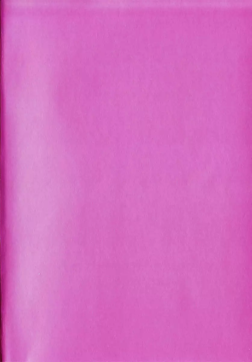 Incest Diary of Hisae Vol. 1 / Hisae Haitoku Nikki Kanzeban Jou