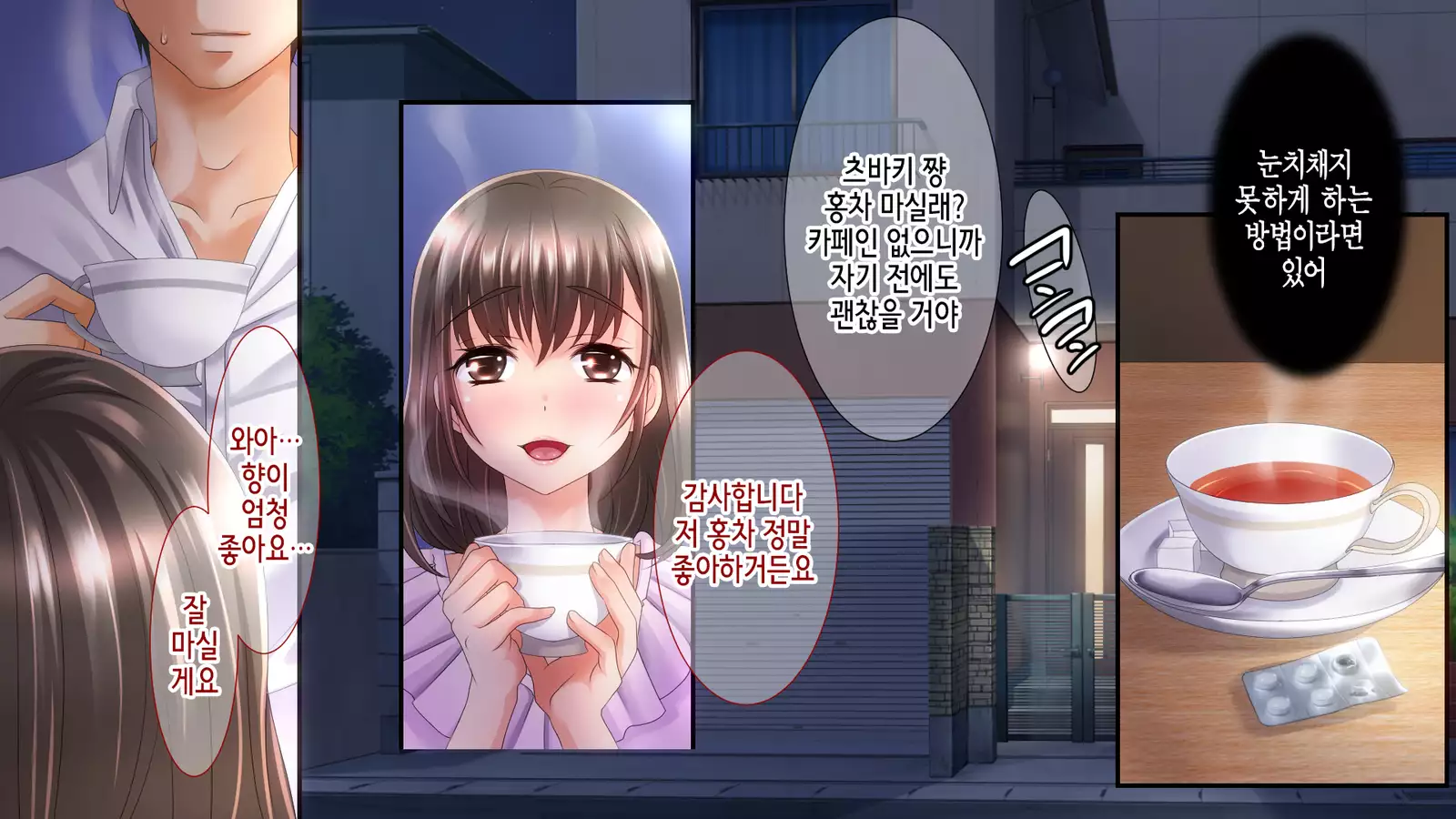 Ane no Wasuregatami no Mei o Ore wa Okashita ~Zenpen~