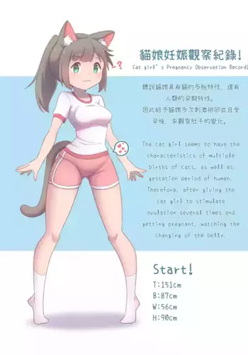 CatChan's Pregnancy Observation Record!