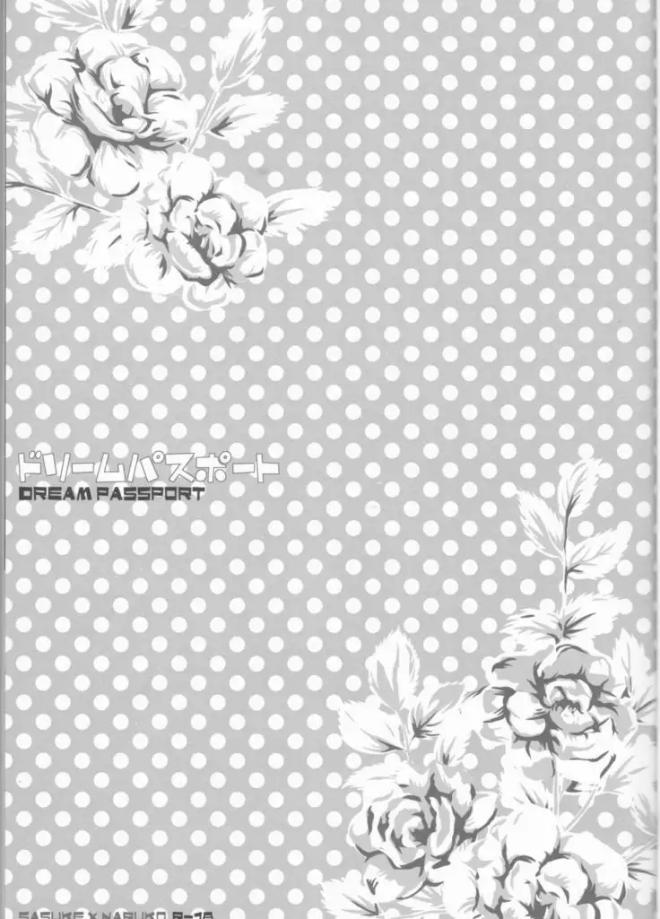 Dream Passport part 1