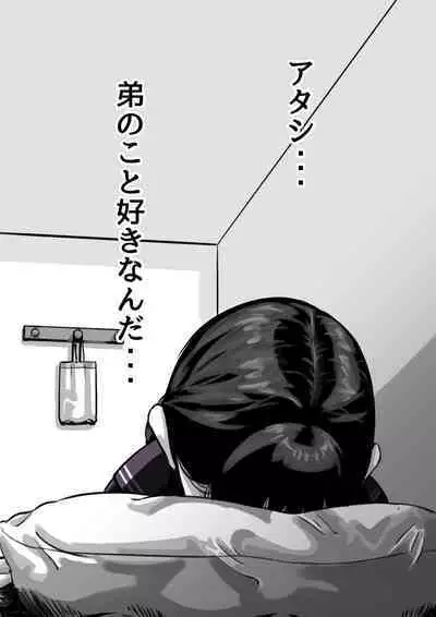 Kyoudai de Nichijou-teki ni Sex Shiteru Kouhen