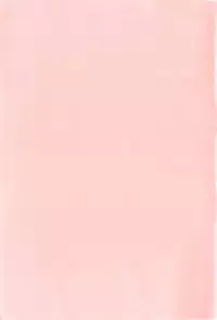 [Tamaki Satoshi] Milky Fragrance