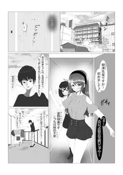 [Miyarakuen] Kawaii Shimai o Suimin Rape de Netori Keikaku