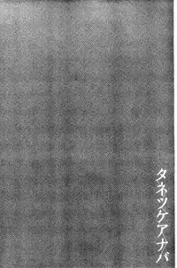 [kiasa] Tanetsukeanaba [Chinese]