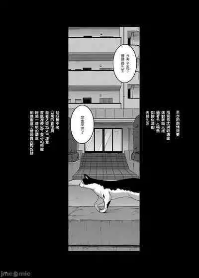 Tsumareta Ikoku no Hana V