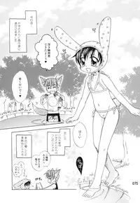 (C79) [Mariana Kaikou Kikaku (Mikami Hokuto)] Usazukintan. Matome