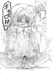 (C78) [PHYSALIS (Seresu & Kuronei)] Suikan Versus (Mahou Shoujo Lyrical Nanoha)