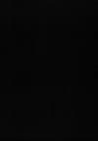 (CCTokyo128) [Pokachutei (Pokachu)] LOVELY DOLL (Touhou Project)