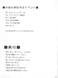 (C80) [Arysuivery, Chiyohan (Ayakase Riberi, Chiyoko)] Flandre no Kaikata 6 (Touhou Project)