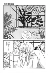 [Hibiki Rika] Dokidoki C Taiken