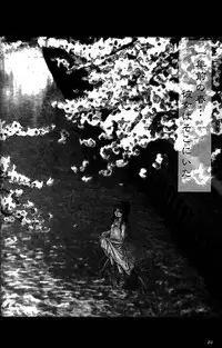 (C56) [Studio NEO BLACK (Neo Black)] Silent Butterfly 3rd