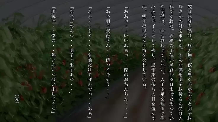 Akiko, Tomato Farmer