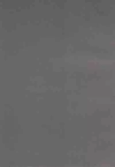 Zettai ☆ Taikan Kyonyuu Shugi