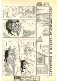 COMIC Papipo Gaiden 1995-11 Vol.17