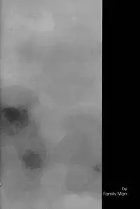 (CR29) [Family Affair (Family Man)] glass