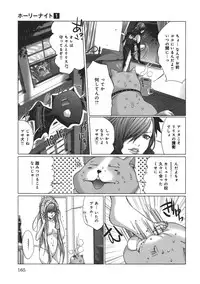 [Miyazaki Maya] Holy Knight 1